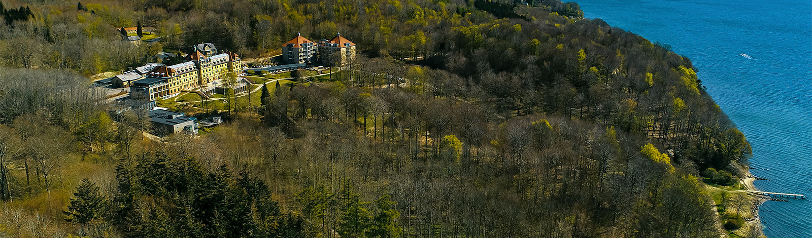 Hotel Vejlefjord smukt beliggende midt i skoven