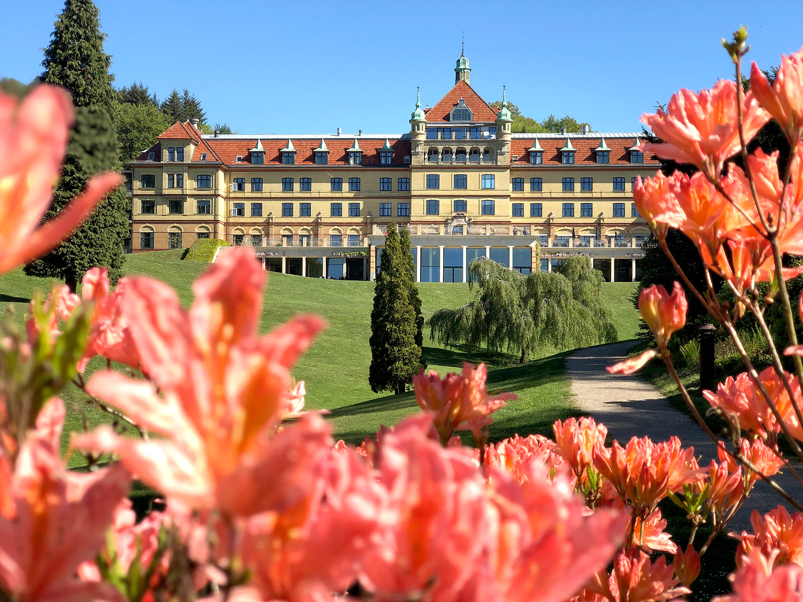 Hotel Vejlefjord Azalia I Flammer