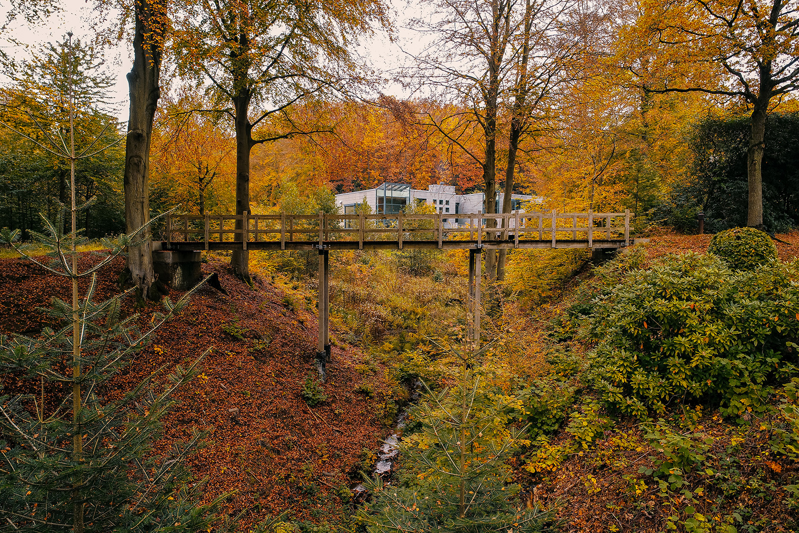 Bedstemors Bro I Parken Vejlefjord Natur Overblik