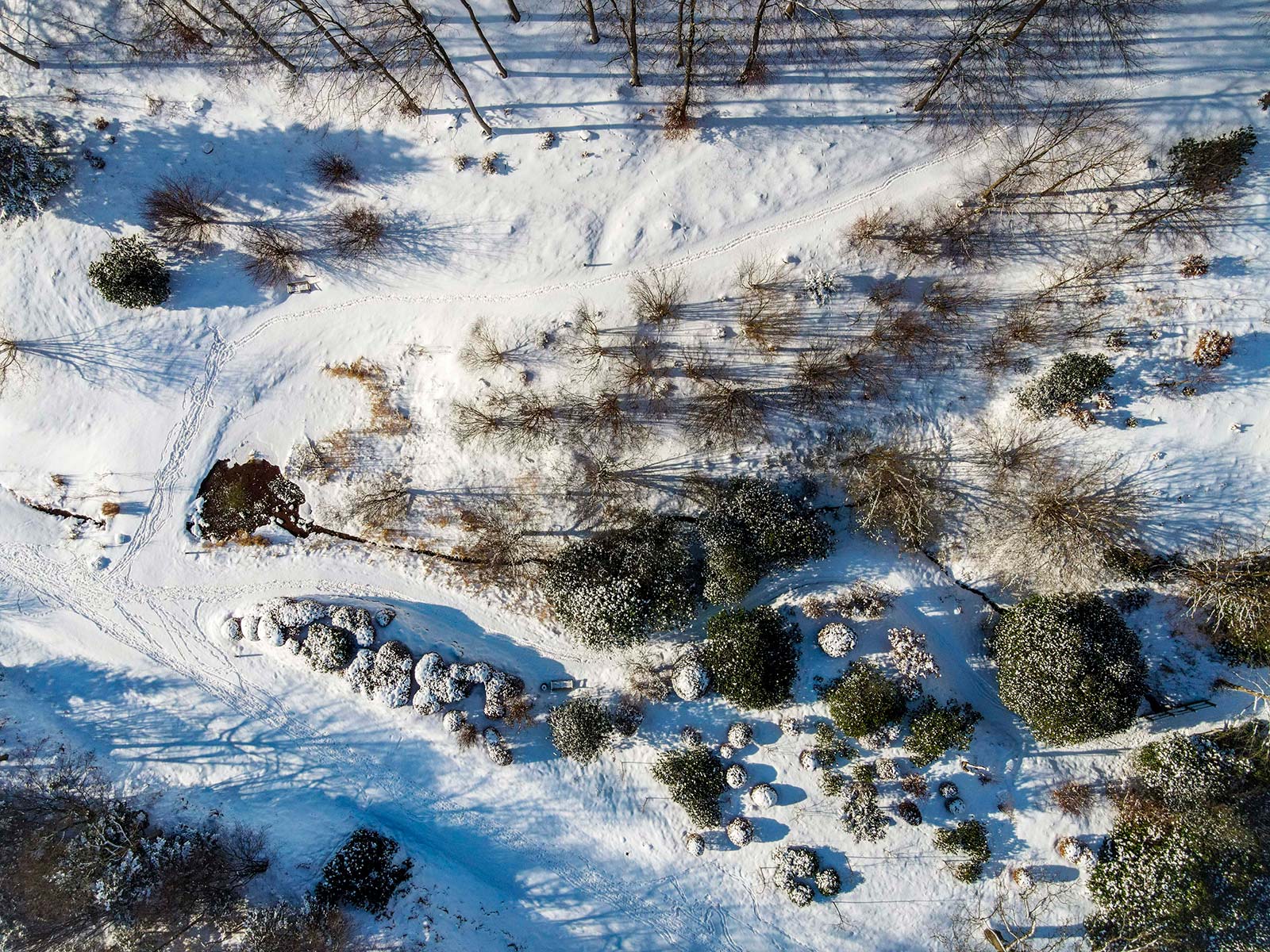 Soeen Park Stier Sne Vinter Drone HVF